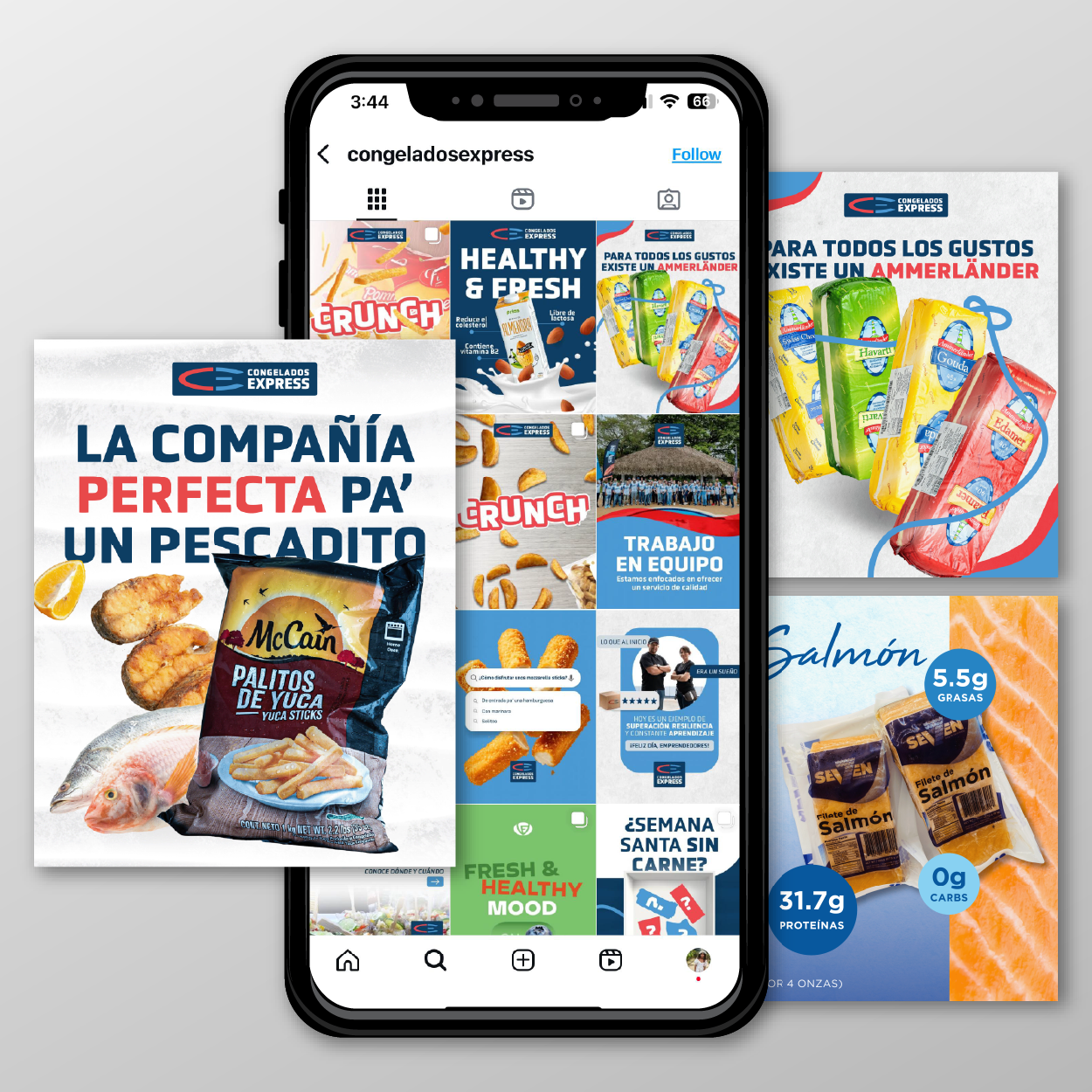 CONGELADOS EXPRESS