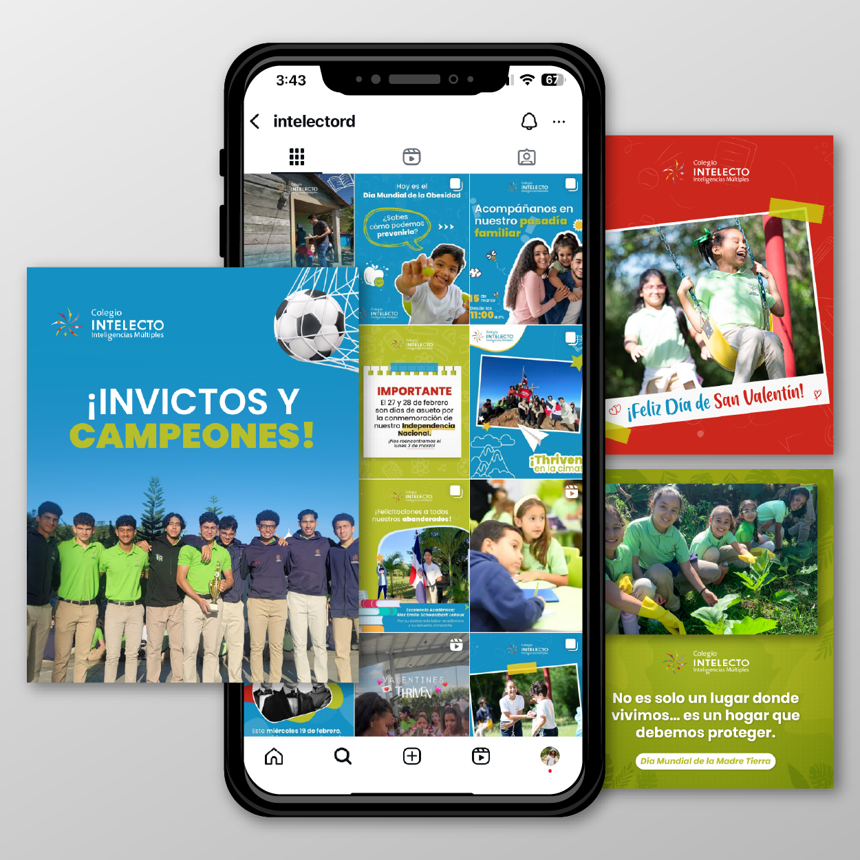 COLEGIO INTELECTO
